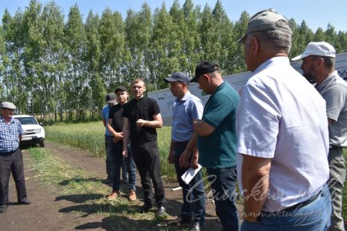 Аксубай районында җәйге коры һава торышында үсемлекләрне ничек сакларга кирәклеге турында фикер алыштылар