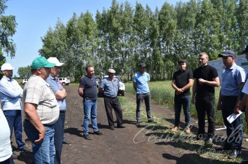 Аксубай районында җәйге коры һава торышында үсемлекләрне ничек сакларга кирәклеге турында фикер алыштылар