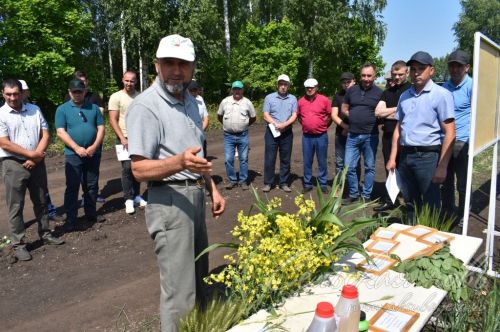 Аксубай районында җәйге коры һава торышында үсемлекләрне ничек сакларга кирәклеге турында фикер алыштылар