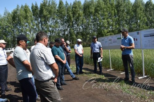 Аксубай районында җәйге коры һава торышында үсемлекләрне ничек сакларга кирәклеге турында фикер алыштылар