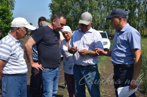 Аксубай районында җәйге коры һава торышында үсемлекләрне ничек сакларга кирәклеге турында фикер алыштылар