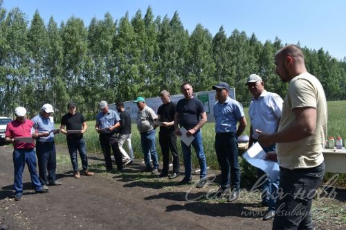 Аксубай районында җәйге коры һава торышында үсемлекләрне ничек сакларга кирәклеге турында фикер алыштылар