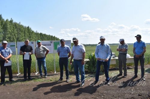 Аксубай районында җәйге коры һава торышында үсемлекләрне ничек сакларга кирәклеге турында фикер алыштылар