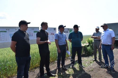 Аксубай районында җәйге коры һава торышында үсемлекләрне ничек сакларга кирәклеге турында фикер алыштылар