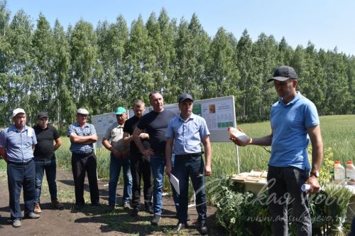Аксубай районында җәйге коры һава торышында үсемлекләрне ничек сакларга кирәклеге турында фикер алыштылар