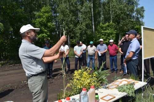 Аксубай районында җәйге коры һава торышында үсемлекләрне ничек сакларга кирәклеге турында фикер алыштылар