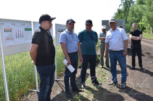Аксубай районында җәйге коры һава торышында үсемлекләрне ничек сакларга кирәклеге турында фикер алыштылар