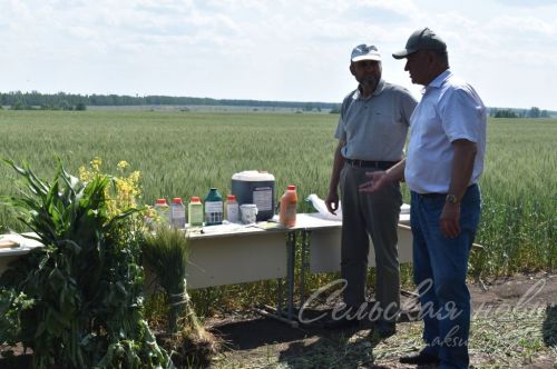Аксубай районында җәйге коры һава торышында үсемлекләрне ничек сакларга кирәклеге турында фикер алыштылар