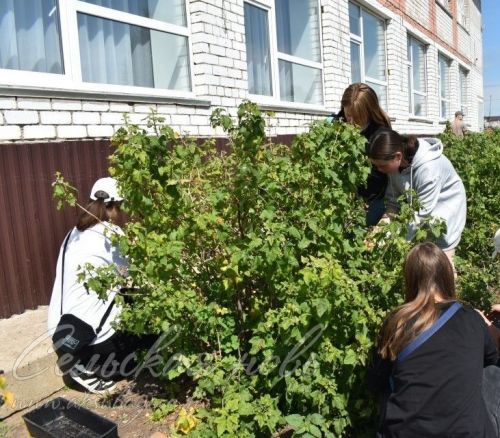 Отзвенел детский смех в пришкольных лагерях Аксубаевского района