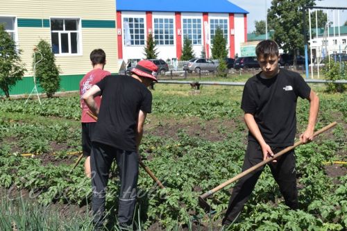 Отзвенел детский смех в пришкольных лагерях Аксубаевского района