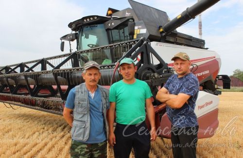 Аксубай районында бөртекле культураларны урып-җыю башланды
