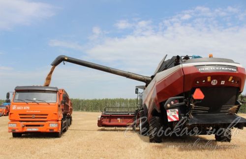 В Аксубаевском районе началась уборка зерновых культур