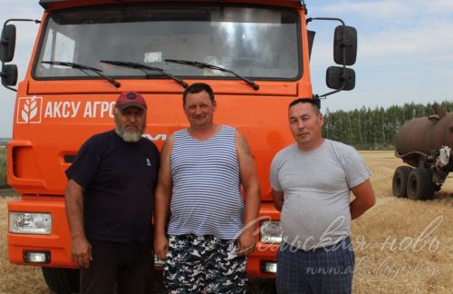 Аксубай районында бөртекле культураларны урып-җыю башланды