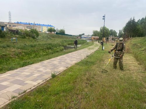 Аксубаево зарастает травой: исполком призывает взяться за косилки жителей