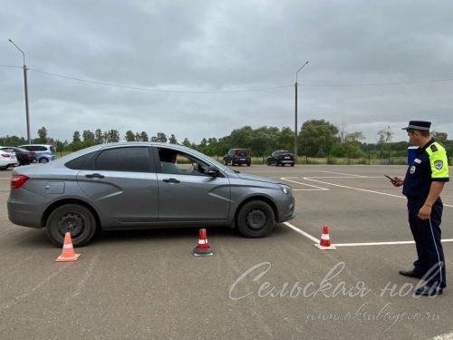 В Аксубаеве выбрали лучшую автоледи
