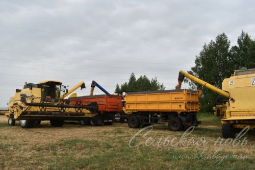Аксубаевским хлеборобам предстоит убрать 38290 гектаров зерновых культур