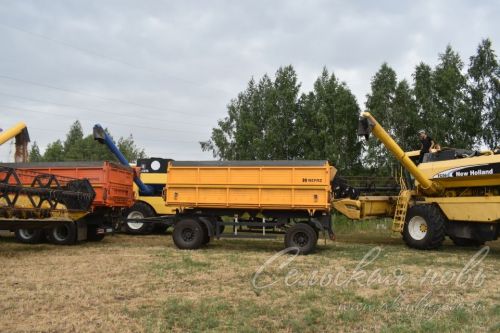 Районда урак өсте башланды