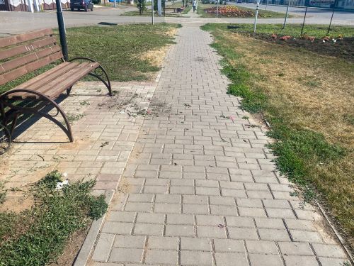 Ночью в Аксубаеве вандалы выдернули с корнями цветы на Мазилина и разбросали их по брусчатке