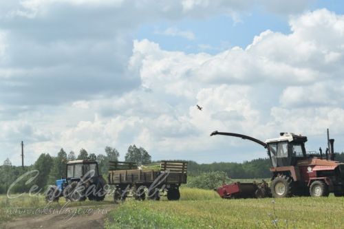 В Фермерском хозяйстве дорог каждый час