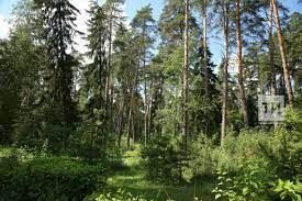 Народные приметы на 20 июля 2023 года