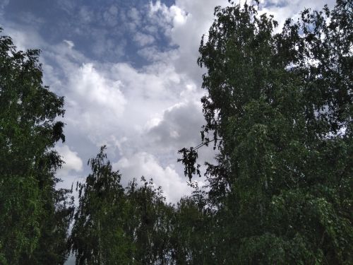 Новая неделя в Татарстане начнется с небольшого похолодания
