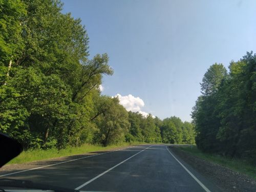 Прогноз погоды на 1 августа