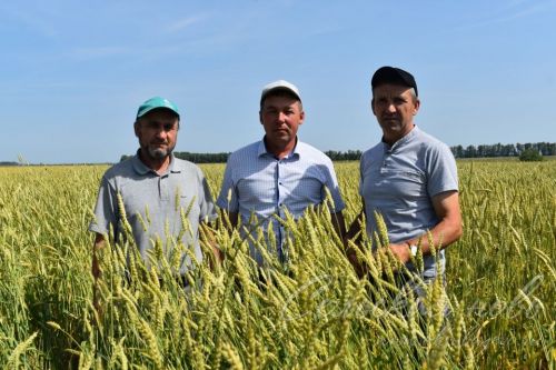 В фермерском хозяйстве Аксубаевского района готовы к сезону уборки