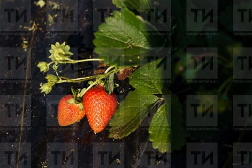 Народные приметы на 9 июля 2023 года: что нельзя делать в этот день