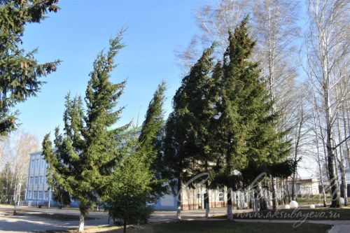 Прогноз погоды на 11 августа