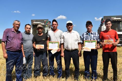 Хлеборобы ООО «Аксу Агро» на жатве получили заслуженные награды