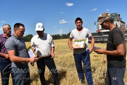 Хлеборобы ООО «Аксу Агро» на жатве получили заслуженные награды