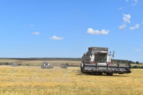 Хлеборобы ООО «Аксу Агро» на жатве получили заслуженные награды