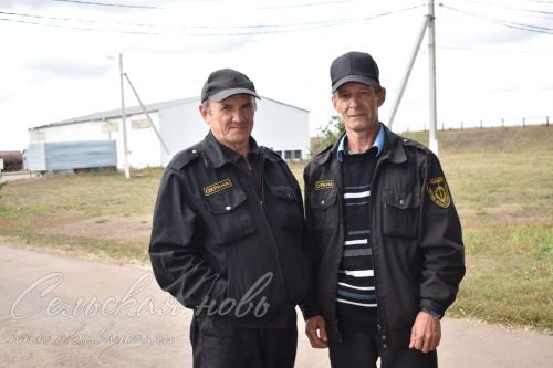 В «Аксу Агро» заложено более пяти тысяч тонн силоса