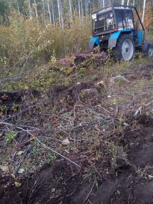 Аксубаевские лесоводы готовят почву под лесные культуры