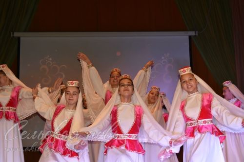 Педагоги и воспитанники Аксубаевского ДШИ защитникам Отечества посвятили концерт