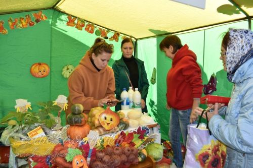 Аксубаевская сельхозярмарка собрала весь район