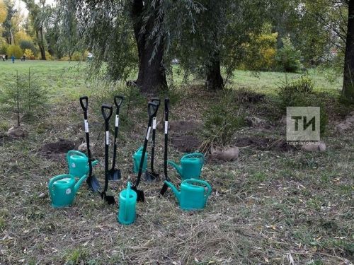 Лунный посевной календарь на сентябрь 2023: что и когда делать на участке
