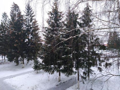 Прогноз погоды на 26 января