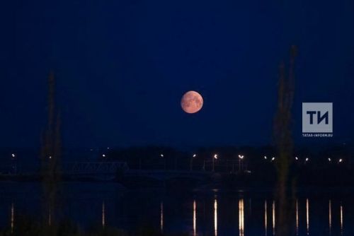 Гороскоп на 28 января 2024 года: что обещают астрологи