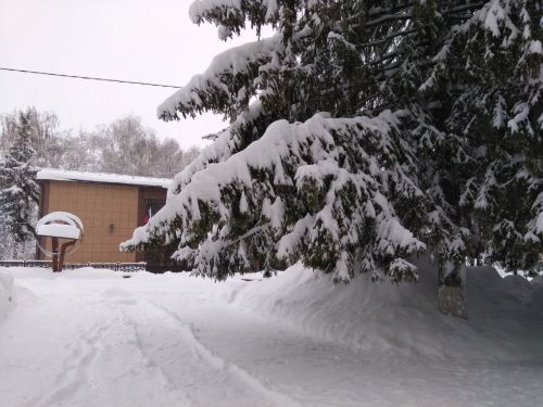 Прогноз погоды на 28 января