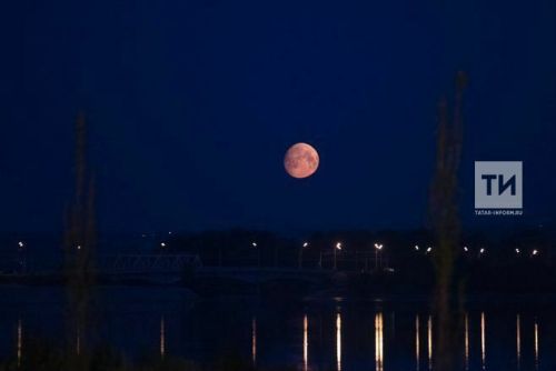 Гороскоп на 29 января 2024 года: что обещают астрологи