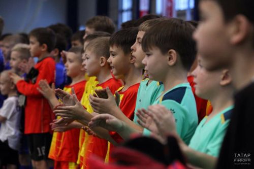 В Госсовете РТ займутся вопросами развития спорта среди детей дошкольного возраста