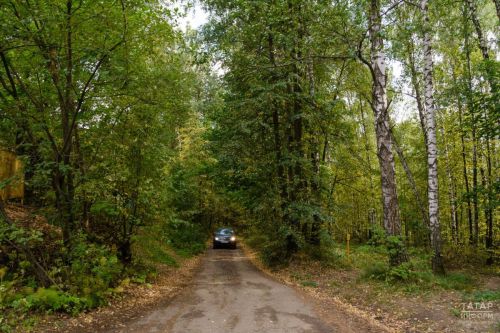 В РТ вновь ограничили посещение лесов из-за высокой пожароопасности
