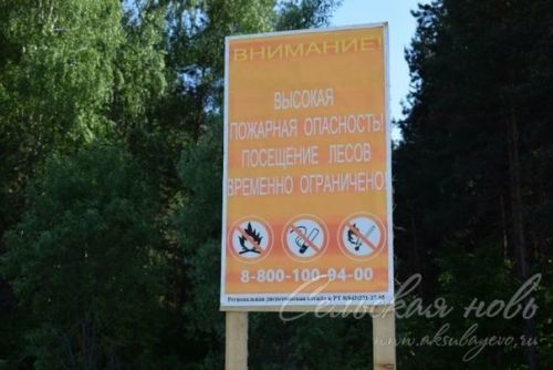 В аксубаевские леса въезд запрещен