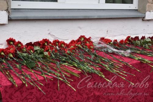 Память аксубаевских воинов СВО увековечили на стене школы