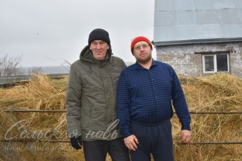 Тормыш рәвеше – яхшы хуҗа булу