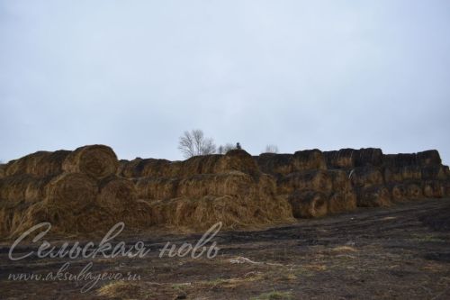 Стиль жизни аксубаевского фермера – быть хорошим хозяином