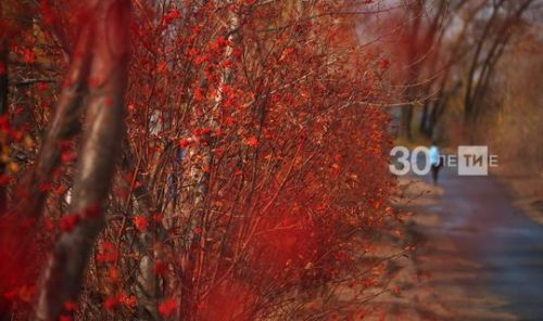 Прогноз погоды в Аксубаеве на 13 ноября