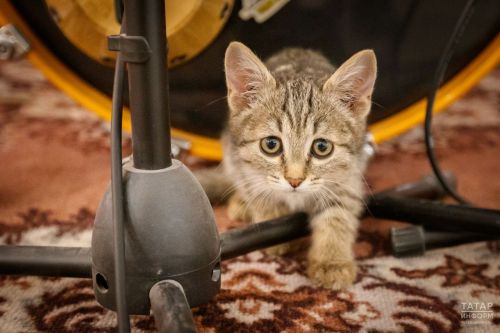 13 ноября: Какой сегодня праздник?
