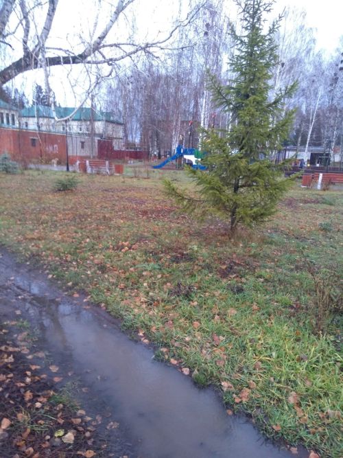 Прогноз погоды на 2 ноября